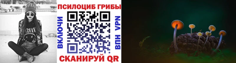 Галлюциногенные грибы MAGIC MUSHROOMS  Купить закладки  Ростов-на-Дону 